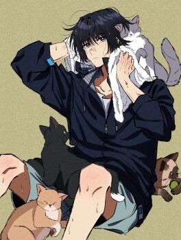 Rule 34 | 1boy, absurdres, alternate costume, animal, animal on lap, animal on shoulder, black cat, black hair, black jacket, black sleeves, blue eyes, blunt ends, casual, cat, closed mouth, collarbone, collared jacket, colorpoint (pattern), contemporary, dintoge, drawstring, full-length zipper, genshin impact, green background, grey cat, grey pants, hair intakes, hands up, hashtag-only commentary, highres, holding, holding towel, jacket, knee blush, light blush, male focus, on lap, orange cat, pants, popped collar, scaramouche (genshin impact), shirt, siamese cat, sitting, solo, three-quarter sleeves, too many, too many cats, towel, undershirt, uneven eyes, veins, veiny arms, white shirt, wiping face, wispy bangs, zipper, zipper pull tab