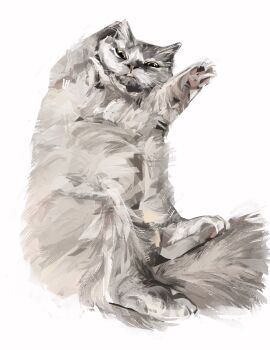 animal animal_focus cat commentary english_commentary full_body grey_cat highres junbuug looking_at_viewer lying no_humans on_back original simple_background solo white_background