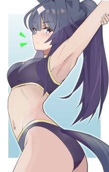 1girl absurdres animal_ears arm_behind_head armpits arms_up black_hair black_sports_bra black_sports_panties blue_background blue_eyes border breasts commentary_request from_side highres horse_ears horse_girl horse_tail looking_at_viewer looking_to_the_side medium_breasts navel outside_border sanche_(3che3) solo sports_bra sports_panties stretching tail umamusume verxina_(umamusume) white_border