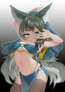 1girl :3 absurdres animal_ears aqua_eyes black_hair black_thighhighs breasts chinese_commentary closed_mouth commentary_request copyright_request cowboy_shot dancer dog_ears dog_girl dog_tail gradient_background grey_background highres long_hair medium_breasts navel partial_commentary pelvic_curtain tail tankcay thighhighs very_long_hair
