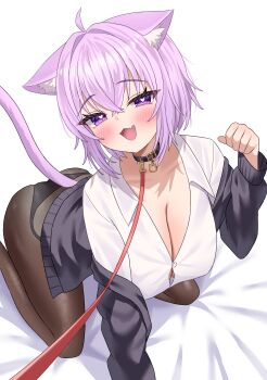 1girl absurdres ahoge animal_ear_fluff animal_ears black_collar black_panties black_pantyhose breasts cat_ears cat_girl cat_tail cleavage collar fang heart heart-shaped_pupils highres hololive kumoru_(kumoru_145) large_breasts leash medium_hair nekomata_okayu nekomata_okayu_(oversized_shirt) official_alternate_costume panties pantyhose paw_pose purple_eyes purple_hair red_leash shirt skin_fang smile solo symbol-shaped_pupils tail underwear viewer_holding_leash virtual_youtuber white_shirt
