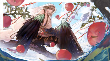 1boy absurdres apple bird_legs bird_wings blue_sky blurry blurry_foreground border branch brown_eyes brown_feathers brown_hair brown_wings bubing cloud feathered_wings feathers food from_below fruit full_body getian_(reverse:1999) grey_eyes hanfu harpy_boy headscarf heterochromia highres leaf male_focus medium_hair monster_boy on_branch outside_border pectorals reverse:1999 sky solo squatting tassel v-neck water white_border white_hanfu winged_arms wings