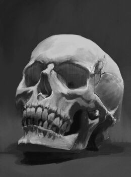 absurdres art_study bone derivative_work greyscale highres monochrome no_humans original rei_(lappy_mofumofu) shadow skull still_life teeth