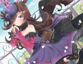 1girl animal_ears bare_shoulders black_thighhighs blue_flower blue_hat blue_rose blue_sky blush breasts brown_hair closed_mouth commentary_request dress fascinator flipped_hair flower fur_choker hair_over_one_eye hat hat_flower highres horse_ears horse_girl horse_tail long_hair long_sleeves looking_at_viewer off-shoulder_dress off_shoulder outdoors petals purple_eyes rice_shower_(rosy_dreams)_(umamusume) rice_shower_(umamusume) rose sky small_breasts smile solo tail thighhighs tilted_headwear umamusume yukiomi_kizuki