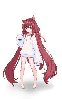 Rule 34 | 1girl, absurdres, animal ear fluff, animal ears, barefoot, blue eyes, brown eyes, cat ears, cat girl, cat tail, closed mouth, commentary request, eyebrows hidden by hair, flat chest, full body, hair between eyes, hair ornament, hairclip, heterochromia, highres, hood, hoodie, light blush, long hair, looking at viewer, original, pout, red eyes, shadow, sleeves past fingers, sleeves past wrists, solo, star-shaped pupils, star (symbol), symbol-shaped pupils, tail, toes, twintails, very long hair, white background, white hoodie, ze zhi ai