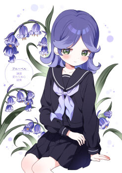 Rule 34 | 1girl, black serafuku, black shirt, black skirt, bluebell (flower), blush, buchi (y0u0ri ), commentary, feet out of frame, flower, highres, long sleeves, medium hair, miniskirt, neckerchief, original, pleated skirt, purple flower, purple hair, purple neckerchief, school uniform, serafuku, shirt, sitting, skirt, solo