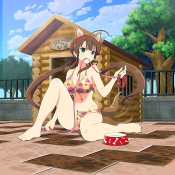 1girl ahoge animal_collar animal_ears barefoot bikini black_ribbon blue_eyes blush bone_print bowl breasts brick_floor brown_hair cleavage closed_mouth collar collarbone dog_ears dog_girl dog_tail doghouse extra_ears floral_print floral_print_bikini game_cg green_eyes groin hair_ribbon hairband heterochromia holding holding_collar holding_leash knee_up large_breasts leash leash_in_mouth log_cabin long_hair looking_at_viewer low_twintails lowres navel official_art pet_bowl plant print_bikini railing red_hairband ribbon ryoubi_(senran_kagura) senran_kagura senran_kagura_new_wave senran_kagura_shinovi_versus sitting smile solo swimsuit tail translation_request tree twintails very_long_hair
