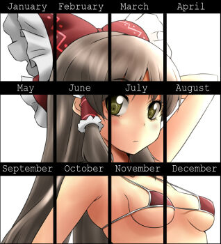 Rule 34 | 1girl, ao usagi, arm up, bikini, bikini top only, black hair, bow, breasts, brown eyes, english text, female focus, frills, green eyes, hair bow, hair ornament, hair tubes, hakurei reimu, long hair, small breasts, solo, swimsuit, touhou, white background