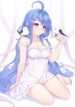 1girl absurdres alternate_costume alternate_hairstyle arm_behind_back azur_lane bare_legs bare_shoulders bird bird_on_hand blue_hair blue_nails breasts cleavage curly_hair dress full_body hair_ornament hairclip hand_up helena_(azur_lane) highres kyl490 long_hair medium_breasts nail_polish purple_eyes sitting sleeveless sleeveless_dress solo spaghetti_strap strap_slip thighs tit_(bird) very_long_hair white_dress