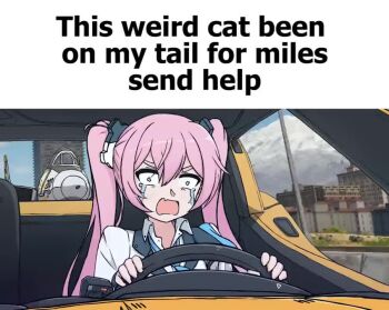 1girl ace_combat ace_combat_7 animated audible_music audible_speech blue_archive building car_interior car_seat city cityscape cloud crying crying_with_eyes_open day driving english_audio english_text engrish_text f-14_tomcat flying freebird_(song) gif_caption_(meme) halo jacket koyuki_(blue_archive) long_hair lynyrd_skynyrd meme mountain necktie open_mouth outdoors pink_eyes pink_hair ranguage scenery skyscraper solo sound steering_wheel tagme tears twintails video war_thunder xandier59