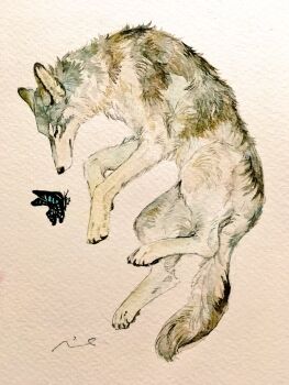 Rule 34 | animal, animal focus, bug, butterfly, commentary request, highres, insect, lying, mktd (koame4), no humans, on side, original, painting (medium), sleeping animal, traditional media, watercolor (medium), wolf