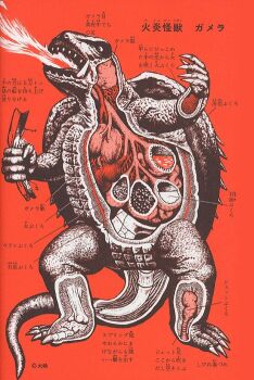 anatomy biology breath_weapon breathing_fire chart cross-section daiei_motion_picture diagram elemental_(creature) energy fire fire_elemental gamera gamera,_the_giant_monster gamera_(series) giant giant_monster heart intestines japanese_text kaiju lungs monochrome monster multiple_stomachs no_humans official_art ohtomo_shoji organs plasma science science_fiction shell stomach tail train train_car translation_request turtle turtle_shell tusks x-ray