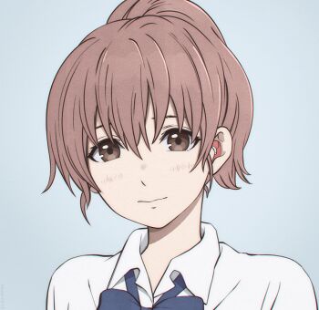 1girl blue_background blue_bow blue_bowtie blush bow bowtie brown_eyes brown_hair closed_mouth collared_shirt deaf disability earbuds earphones grey_background hair_between_eyes head_tilt hearing_aid koe_no_katachi light_blush light_smile looking_at_viewer miura-n315 nishimiya_shouko ponytail portrait school_uniform shirt short_hair simple_background smile solo upper_body white_shirt wing_collar