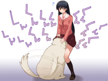 Rule 34 | 1girl, azumanga daiou, bad id, bad pixiv id, black hair, black socks, blush, breasts, brown eyes, dog, female focus, full body, gradient background, kira keita, kneehighs, long hair, sakaki (azumanga daioh), school uniform, serafuku, smelling, socks, solo, tadakichi-san, tail, tail wagging, under skirt