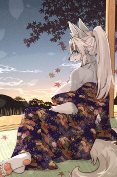 1girl animal_ear_fluff animal_ears animal_nose autumn autumn_leaves blue_eyes breasts commentary commentary_request from_behind furry furry_female grey_fur hair_tie high_ponytail highres japanese_clothes kimono large_breasts leaf long_hair lying off_shoulder on_floor on_side ookamiwaho original pawpads ponytail shoulder_blades sky smile snout solo tail tatami two-tone_fur white_fur white_hair wolf_ears wolf_girl wolf_tail