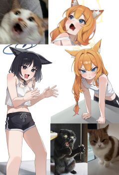 2girls absurdres animal animal_ears black_eyes black_hair black_halo black_shorts blue_archive blue_eyes braid braided_ponytail breasts cat cat_ears cat_girl commentary halo highres kikyou_(blue_archive) long_hair looking_at_viewer mari_(blue_archive) multiple_girls open_mouth orange_hair photo-referenced short_hair shorts simple_background small_breasts standing symbol-only_commentary tank_top um_111 white_background white_tank_top yellow_halo