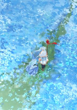 2girls absurdres black_thighhighs blue_cloak blue_flower blue_hair blue_hat boots brown_boots capelet cloak commentary conical_hat dress earrings field flower flower_field frieren from_above from_behind full_body grass grey_hair hat hat_tassel highres holding holding_hands holding_staff jewelry jolseon long_hair mage_staff multiple_girls outdoors richeh_(tongari_boushi_no_atelier) sousou_no_frieren staff teardrop_earrings thighhighs tongari_boushi_no_atelier twintails white_capelet white_dress wizard_hat