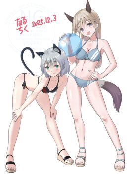 2girls alternate_costume animal_ears ball bikini black_bow blue_bikini blue_eyes blush bow cat_ears cat_girl cat_tail commentary_request eila_ilmatar_juutilainen fox_ears fox_girl full_body grey_hair hand_on_own_hip happy highres long_hair looking_at_viewer multiple_girls naruchisukisuki navel open_mouth sandals sanya_v._litvyak short_hair simple_background smile standing strike_witches swimsuit tail watermark white_background white_hair world_witches_series