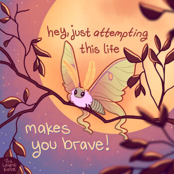 animal animal_focus artist_name blurry blurry_foreground bug english_text huge_moon insect leaf luna_moth moon moth no_humans on_branch original sky star_(sky) starry_sky thelatestkate