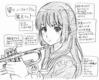 Rule 34 | 1girl, euphonium, greyscale, hibike! euphonium, instrument, jun watanabe, kousaka reina, long hair, looking at viewer, monochrome, reference sheet, school uniform, serafuku, sketch, solo, upper body