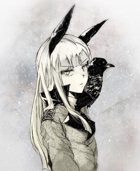 1girl animal_ears bird bird_ears bird_girl crow grete_m._gollob greyscale highres jacket long_hair looking_at_viewer monochrome solo upper_body world_witches_series yumemitsuki_(hagakure)