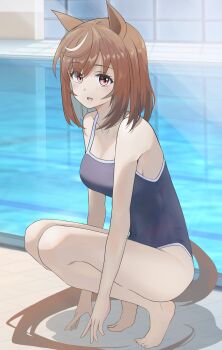 1girl absurdres all_fours animal_ears bare_arms barefoot blue_one-piece_swimsuit breasts brown_eyes brown_hair buena_vista_(umamusume) cleavage commentary highres horse_ears horse_girl horse_tail looking_at_viewer medium_breasts medium_hair one-piece_swimsuit open_mouth pool poolside sanche_(3che3) smile solo squatting swimsuit tail thighs tracen_swimsuit umamusume white_hair white_streaks
