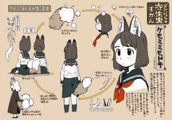 akai_sashimi animal_ears brown_hair chart diagram evolutionary_line fox_tail information_sheet multiple_girls multiple_tails original parasite pleated_skirt school_uniform serafuku short_hair skirt tail translation_request