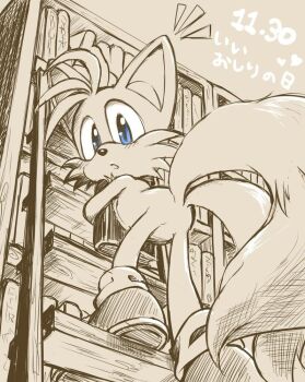 ass ass_focus blue_eyes book bookshelf child fox gloves library looking_down misuta710 multiple_tails sega shoes shota socks sonic_(series) stairs tail tails_(sonic) two_tails