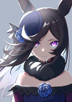 Rule 34 | 1girl, absurdres, animal ears, bare shoulders, blue dress, blue flower, blue hat, blue rose, brown hair, closed mouth, danboru (jdanboru1182), dress, fascinator, flipped hair, flower, fur choker, fur collar, hair over one eye, hat, hat flower, highres, horse ears, horse girl, long hair, looking at viewer, off-shoulder dress, off shoulder, purple eyes, rice shower (rosy dreams) (umamusume), rice shower (umamusume), rose, simple background, solo, tilted headwear, umamusume, upper body