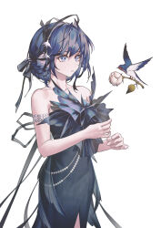 Rule 34 | 1girl, absurdres, alternate costume, arknights, armband, astesia (arknights), bird, black hair, blue bird, blue dress, blue eyes, blue hair, commentary, cowboy shot, dress, english commentary, feather hair, flower, hair up, hairband, highres, holding, holding flower, looking at animal, parted lips, rose, simple background, sleeveless, sleeveless dress, solo, white background, white flower, white rose, zhuang yao