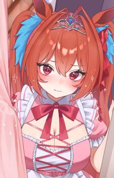 1girl alternate_costume animal_ears apron belt blue_scrunchie blush breasts brown_hair cleavage closed_mouth collared_dress commentary_request curtains daiwa_scarlet_(umamusume) dress enmaided eyelashes fang frilled_dress frilled_sleeves frills hair_between_eyes hair_intakes hands_up heart_belt_buckle highres horse_ears horse_girl lace_trim large_breasts long_hair looking_at_viewer maid maid_apron neck_ribbon pink_belt pink_dress puffy_short_sleeves puffy_sleeves red_eyes red_ribbon ribbon scrunchie short_sleeves skin_fang solo tiara twintails umamusume upper_body white_apron yamaro_(yamaro0)