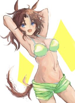 1girl animal_ears armpits arms_behind_head bare_shoulders bikini blue_eyes blush breasts brown_hair commentary_request green_bikini green_shorts hair_between_eyes horse_ears horse_girl horse_tail large_breasts long_hair looking_at_viewer mejiro_palmer_(umamusume) multicolored_hair navel open_mouth shorts smile solo stomach streaked_hair swimsuit tail umamusume white_hair yanagi_wakana