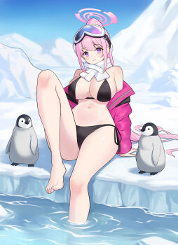 Rule 34 | absurdres, animal, barefoot, bikini, bird, black bikini, blue archive, blue sky, breasts, closed mouth, commentary request, eimi (blue archive), eimi (swimsuit) (blue archive), goggles, goggles on head, halo, highres, ice, ice floe, large breasts, looking at viewer, navel, official alternate costume, outdoors, penguin, pink eyes, pink hair, pink halo, potatoy, sitting, ski goggles, sky, smile, swimsuit, toes, water