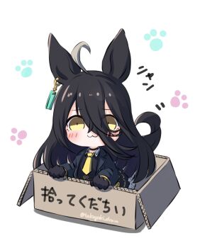 1girl ahoge animal_ears black_choker black_coat black_gloves black_hair black_shirt black_skirt blush box cardboard cardboard_box chibi choker closed_mouth coat collared_shirt commentary ear_tag earrings for_adoption gloves hair_between_eyes highres horse_ears horse_girl horse_tail in_box in_container jewelry long_bangs long_hair long_hair_between_eyes long_sleeves manhattan_cafe_(creeping_shadow)_(umamusume) manhattan_cafe_(umamusume) multicolored_hair necktie paw_print paw_print_background shirt single_earring skirt smile solo tail takoyaki_(takoyaki_draw) umamusume yellow_eyes yellow_necktie
