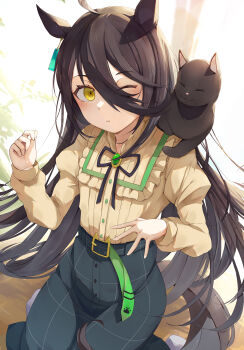 Rule 34 | 1girl, ahoge, animal, animal ears, animal on shoulder, belt, black hair, black ribbon, blush, casual, cat, cat on shoulder, closed eyes, closed mouth, commentary request, ear tag, earrings, frilled shirt, frills, hair between eyes, highres, horse ears, horse girl, horse tail, jewelry, long bangs, long hair, long hair between eyes, long sleeves, manhattan cafe (casual) (umamusume), manhattan cafe (umamusume), multicolored hair, neck ribbon, one eye closed, parted lips, ra mun5239, ribbon, shirt, shirt tucked in, single earring, skirt, solo, tail, umamusume, white hair, yellow eyes, yellow shirt