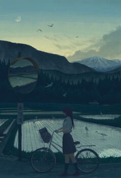 1girl bicycle bird black_hair black_skirt black_socks gensuke_(ryun) highres kei_truck kneehighs long_hair moon motor_vehicle mountain original pickup_truck pleated_skirt pushing_bicycle reflection rice_paddy school_uniform shirt skirt socks solo traffic_mirror tree truck twilight white_shirt