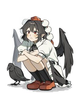 Rule 34 | 1girl, bird, bird wings, black bird, black bow, black bowtie, black skirt, black socks, black wings, blush, bow, bowtie, brown hair, closed mouth, collared shirt, commentary request, crow, frilled skirt, frills, hat, highres, loafers, medium hair, pointy ears, pom pom (clothes), puffy short sleeves, puffy sleeves, red eyes, red hat, red shoes, sakic43899, shameimaru aya, shirt, shoes, short sleeves, simple background, skirt, socks, solo, squatting, tokin hat, touhou, white background, white shirt, wings
