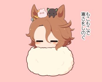 Rule 34 | 1girl, animal, animal ears, animal on head, animalization, biwa hayahide (umamusume), blush, bow, brown hair, cat, chibi, chibi only, closed eyes, commentary request, ear ribbon, gomashio (goma feet), hair between eyes, horse ears, horse girl, narita taishin (umamusume), on head, pink background, ribbon, short hair, translation request, umamusume, winning ticket (umamusume), yellow ribbon