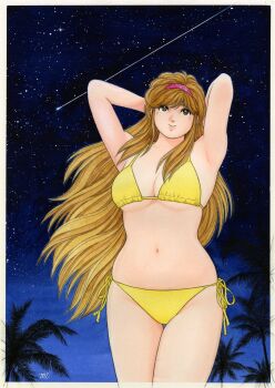 1girl armpits arms_behind_head arms_up asaoka_natsumi bikini border breasts brown_eyes brown_hair cleavage closed_mouth commentary_request cowboy_shot hairband highres large_breasts long_hair looking_up miura_mitsuru navel night night_sky official_artist_extra palm_tree pink_hairband plump shooting_star side-tie_bikini_bottom sidelocks signature skindentation sky smile solo standing star_(sky) starry_sky swimsuit the_kabocha_wine thighs traditional_media tree very_long_hair white_border yellow_bikini