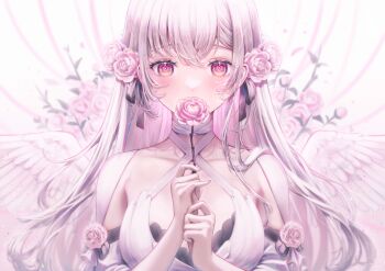 1girl angel_wings bare_shoulders blush breasts collarbone commentary_request dress feathered_wings flower hair_between_eyes hair_flower hair_ornament hair_ribbon halterneck highres holding holding_flower long_hair looking_at_viewer multicolored_hair original pink_eyes pink_flower pink_rose ribbon rose sensitive solo upper_body white_dress white_hair white_wings wings yuubarish