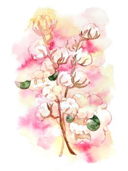 bright_pupils brown_eyes colored_pencil_(medium) cotton_(plant) cottonee evolutionary_line gen_5_pokemon highres nintendo no_humans non_(kumakawayusu) painting_(medium) pokemon pokemon_(creature) smile traditional_media watercolor_(medium) whimsicott white_background white_pupils