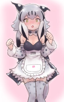 1girl :&lt; adapted_costume animal_ears animal_print apron back_bow bare_shoulders black_hair blush bow bowtie canadian_lynx_(kemono_friends) cat_ears cat_girl cat_print cat_tail cosplay cowboy_shot detached_sleeves frilled_apron frilled_skirt frills fur_trim gray_gray grey_hair grey_shirt hair_between_eyes high-waist_skirt highres japari_symbol kemono_friends long_hair multicolored_hair peach_panther_(kemono_friends) peach_panther_(kemono_friends)_(cosplay) print_bow print_bowtie print_skirt print_sleeves print_thighhighs shirt sidelocks skirt solo tail thighhighs white_apron white_fur white_hair yellow_eyes zettai_ryouiki