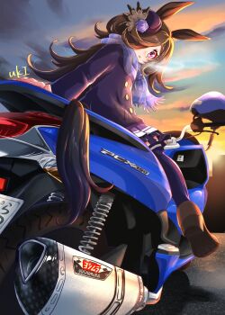 1girl animal_ears blue_coat blue_flower blue_rose blue_scarf blush breath brown_hair buttons coat commentary_request double-breasted flipped_hair flower hair_over_one_eye hat hat_flower highres horse_ears horse_girl horse_tail long_hair looking_at_viewer looking_back looking_down motor_vehicle motorcycle neru_ika on_motorcycle outdoors parted_lips purple_eyes purple_serafuku purple_skirt purple_thighhighs rice_shower_(umamusume) rose scarf school_uniform serafuku skirt sky solo tail thighhighs tilted_headwear tracen_school_uniform tracen_winter_coat umamusume winter_clothes winter_coat winter_uniform