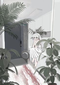 1girl absurdres barefoot blood blood_on_ground blood_trail ceiling coney_(coney903) door dress exit_sign floor grey_eyes head_rest highres indoors original plant potted_plant sitting solo twintails white_dress white_hair
