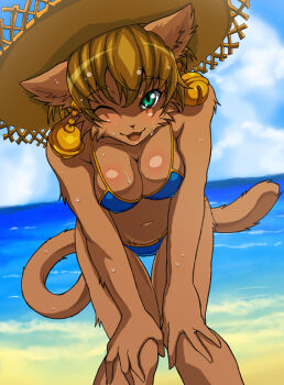 Rule 34 | 68, beach, bell, bell earrings, bikini, breasts, daena, earrings, furry, furry female, green eyes, hat, jewelry, legend of mana, ocean, one eye closed, seiken densetsu, swimsuit, water, wet, wink