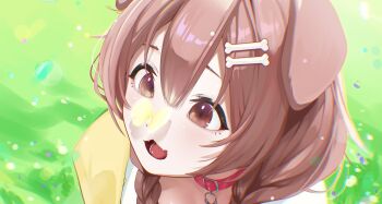 1girl animal animal_ears bone_hair_ornament braid brown_eyes brown_hair bug butterfly butterfly_on_nose collar dog_ears dog_girl double-parted_bangs edge_ill grass hair_between_eyes hair_ornament highres hololive insect inugami_korone inugami_korone_(1st_costume) long_hair looking_at_animal open_mouth portrait red_collar smile solo virtual_youtuber
