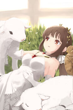 1girl baby_animal bird breasts brown_hair commentary dress elbow_gloves english_commentary falcon falcon_(girls'_frontline) falcon_(song_of_the_morning_dew)_(girls'_frontline) girls'_frontline gloves grass heart heart_necklace highres jewelry lamb long_hair lying necklace official_alternate_costume on_back red_eyes sheep sleeping_animal white_dress white_gloves zafuri_(yzrnegy)