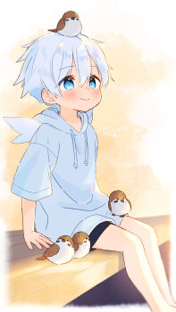 1boy animal animal_on_head bird bird_on_head black_shorts blue_eyes blush child closed_eyes closed_mouth commentary_request dot_nose double-parted_bangs drawstring far_tarooo feet_out_of_frame hair_between_eyes highres hood hood_down hoodie kuro_(far_tarooo) looking_up male_focus on_head original short_hair shorts sitting smile solo sparrow white_hair white_hoodie white_wings wings