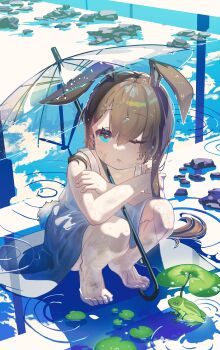 1girl absurdres aged_down alternate_costume amiya_(arknights) animal_ears aqua_eyes arknights barefoot chinese_commentary commentary dirty dress frog highres holding holding_umbrella long_hair one_eye_closed qian_he_shui_cheng ripples rock solo squatting transparent transparent_umbrella umbrella water white_dress