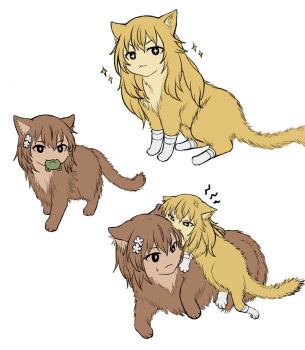 Rule 34 | age difference, aged down, animal focus, animalization, biting another's hair, bright pupils, brown fur, gekota, gloves, highres, looking at viewer, misaka mikoto, mouth hold, multiple views, no humans, shokuhou misaki, size difference, smug, sparkling eyes, star-shaped pupils, star (symbol), symbol-shaped pupils, time paradox, toaru majutsu no index, white background, white gloves, yakult1124, yellow fur